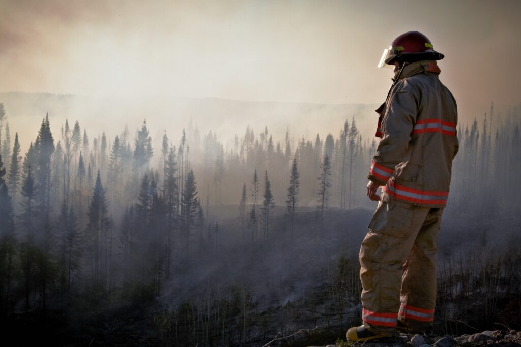 Ugniagesys žvelgia į mišką po gaisro, pixels.com nuotr.