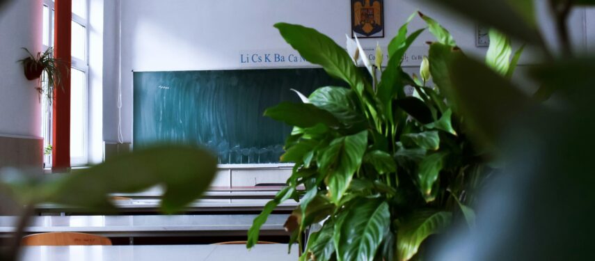 Profesinio mokymo mokykla, pexels.com nuotr.