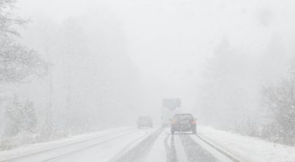 Pūga kelyje, Ilias Saltidis'o nuotr.